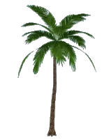 circleTree